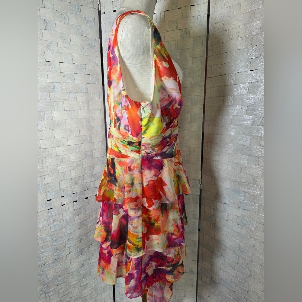 LIV FOSTER DRESS - Picture 7 of 14